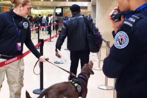 TSA Expands Digital ID Acceptance to 14 States and Puerto Rico for Airport Security
