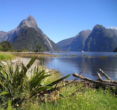 New Zealand’s prime minister proposes social media ban for under-16s