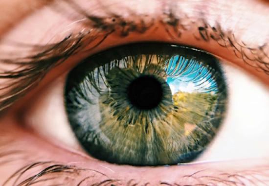 Sam Altman brings his eye-scanning identity verification startup to the UK