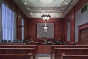 Mitek Systems failed to convince the US Court of Appeals for the Federal Circuit that it had standing to sue for a declaratory judgment against USAA