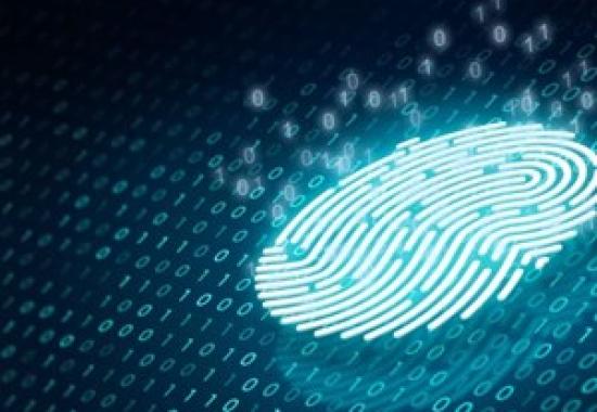 iProov Uncovers Major Biometric Data Farming Operation