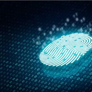 iProov Uncovers Major Biometric Data Farming Operation